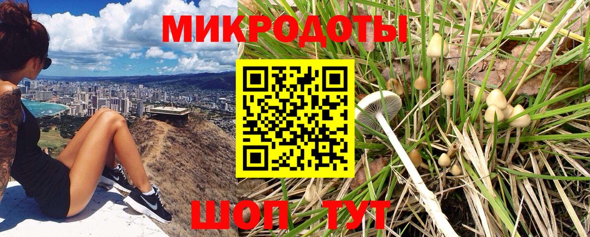 Псилоцибиновые грибы GOLDEN TEACHER  Вход с VPN  Семилуки  Псилоцибиновые грибы ЛСД 